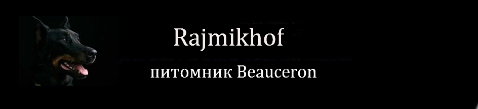 питомник "Rajmikhov"