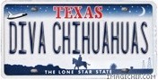 питомник чихуахуа в америке Diva Chihuahuas