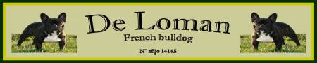 питомник французских бульдожек "De Loman"