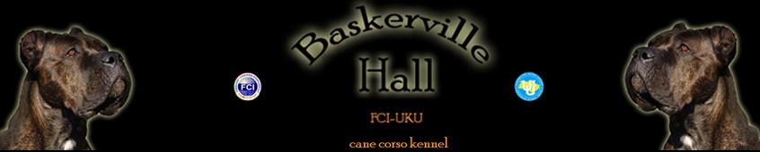 Питомник кане корсо Baskerville Hall