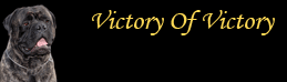 питомник "Victory Of Victory"